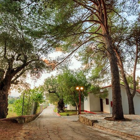 Alykes Park Bungalows Dış mekan fotoğraf