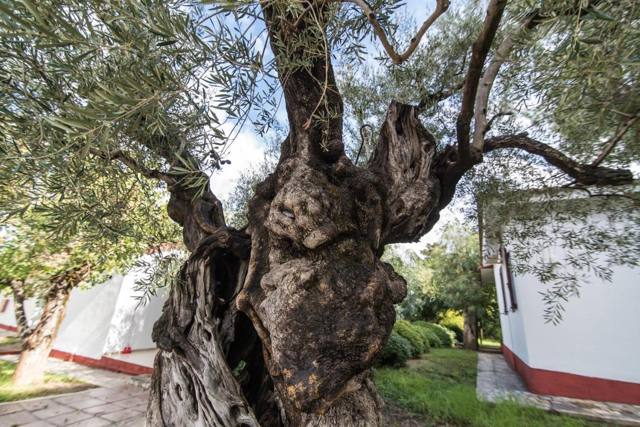 Alykes Park Bungalows Dış mekan fotoğraf