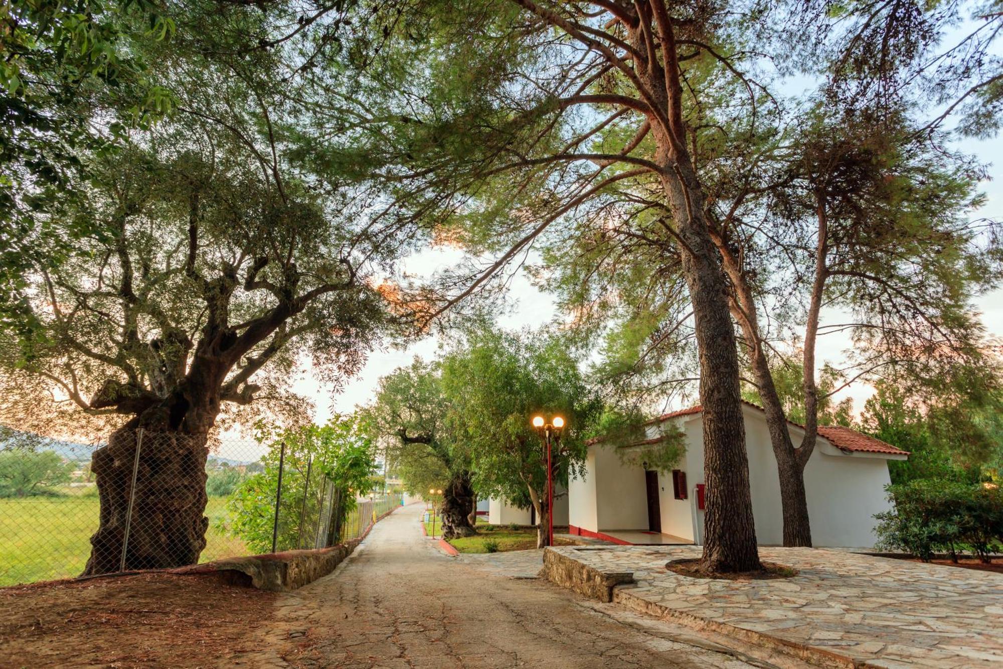 Alykes Park Bungalows Dış mekan fotoğraf