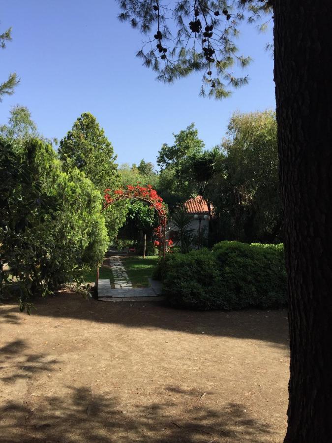 Alykes Park Bungalows Dış mekan fotoğraf